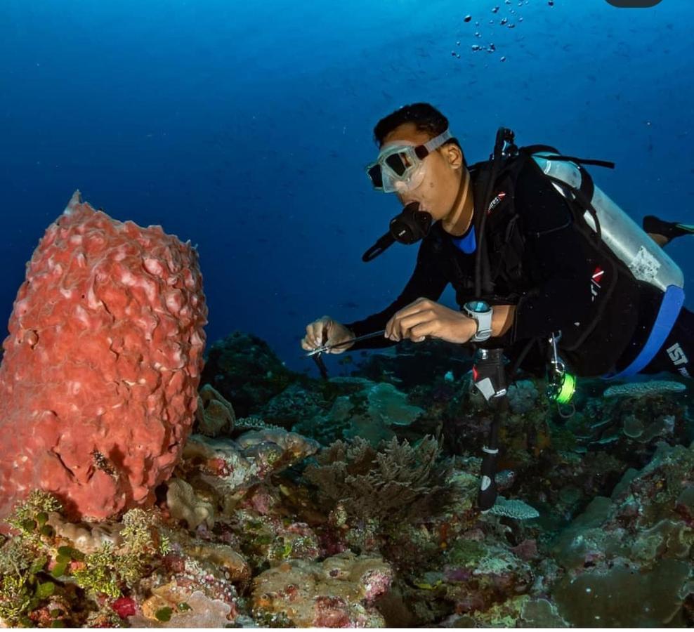 Marind Dive Eco Resort Waha Eksteriør bilde